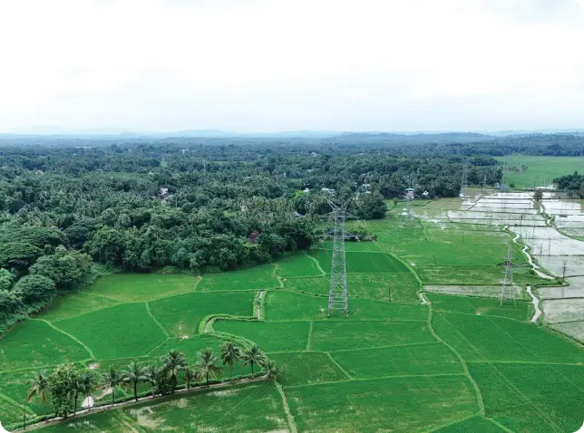 Natural Capital