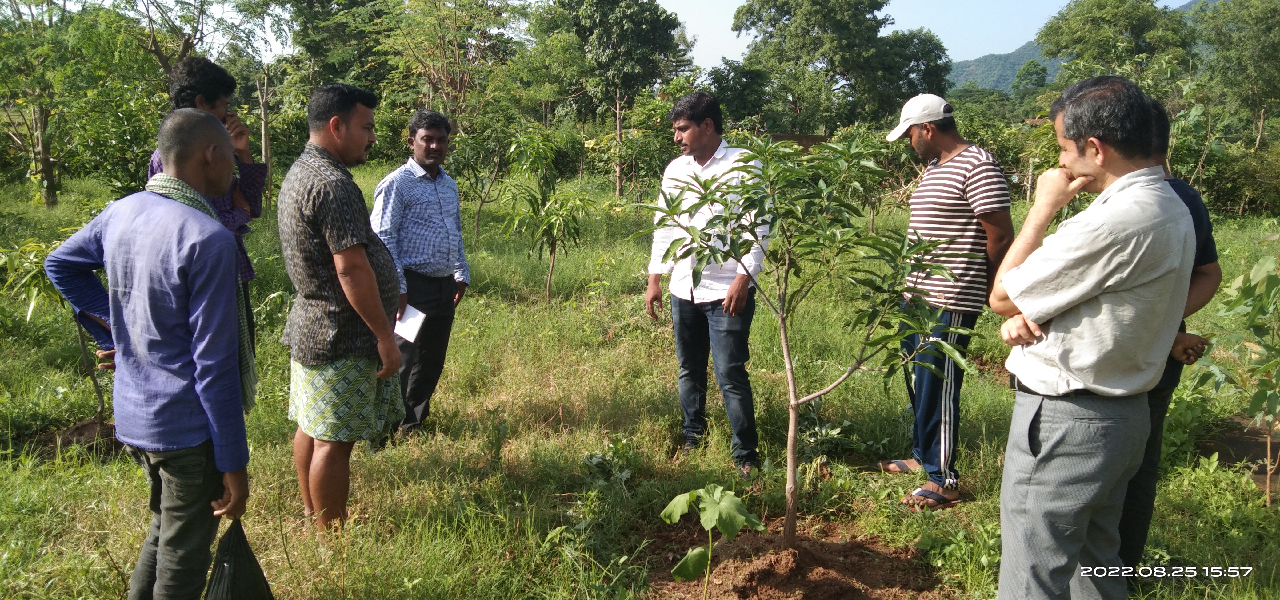 kalahandi