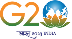 G20