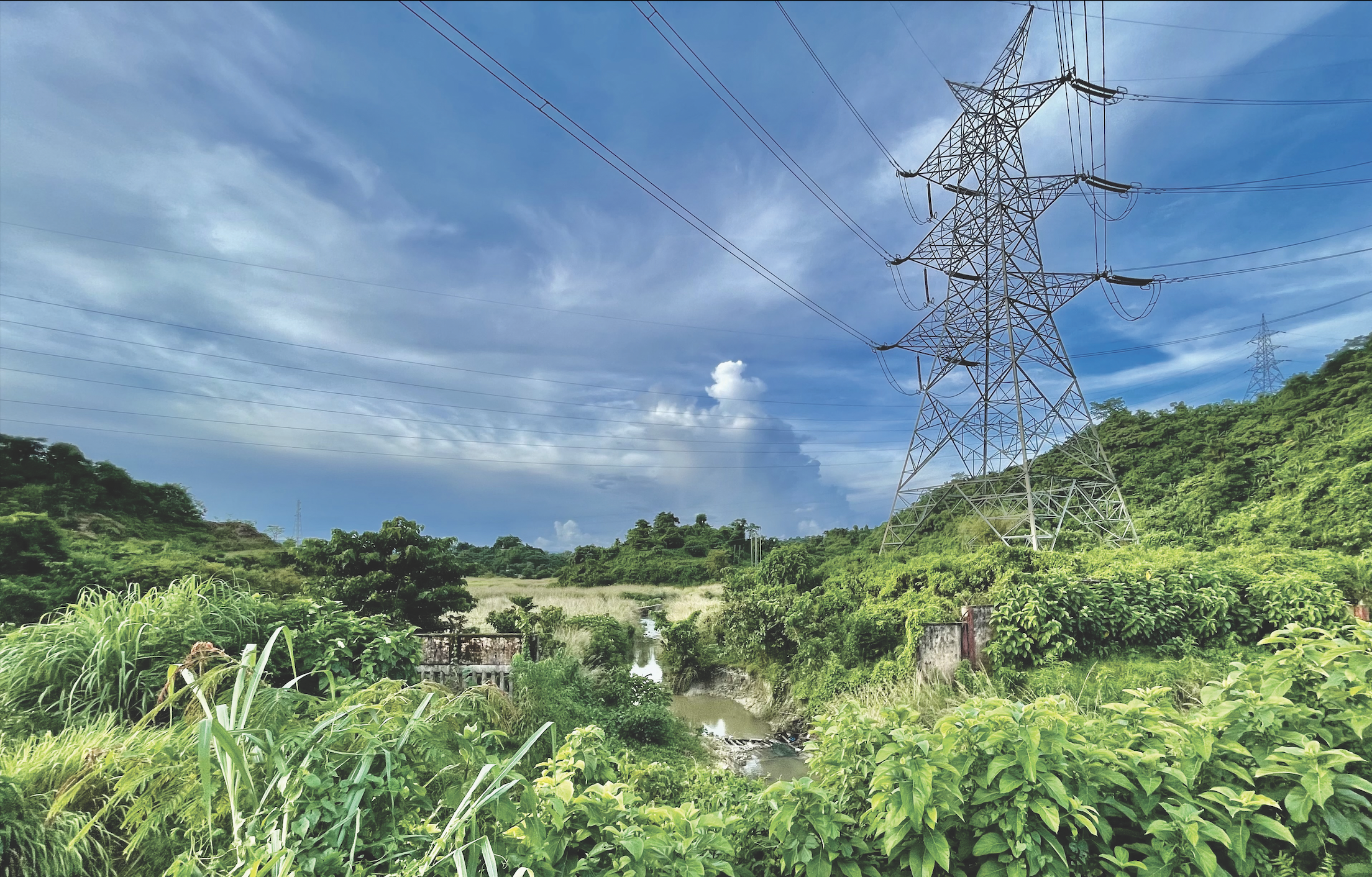POWERGRID Posts Profit After Tax (PAT) of ₹ 3,631 Cr. and Total Income ₹ 11,444 Cr. for Q1FY26 on Consolidated Basis