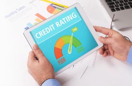 CREDIT RATING