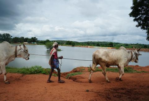 Rural Development